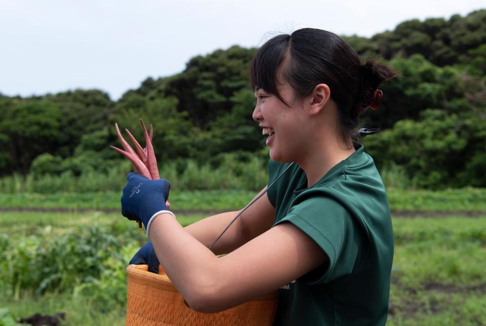 野菜とクリエイティブが出会った話 まんぷくベジ Manpuku Veggie